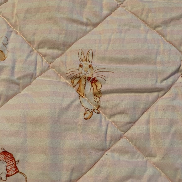 Beatrix Potter Peter Rabbit quilt - Picture 2 of 6